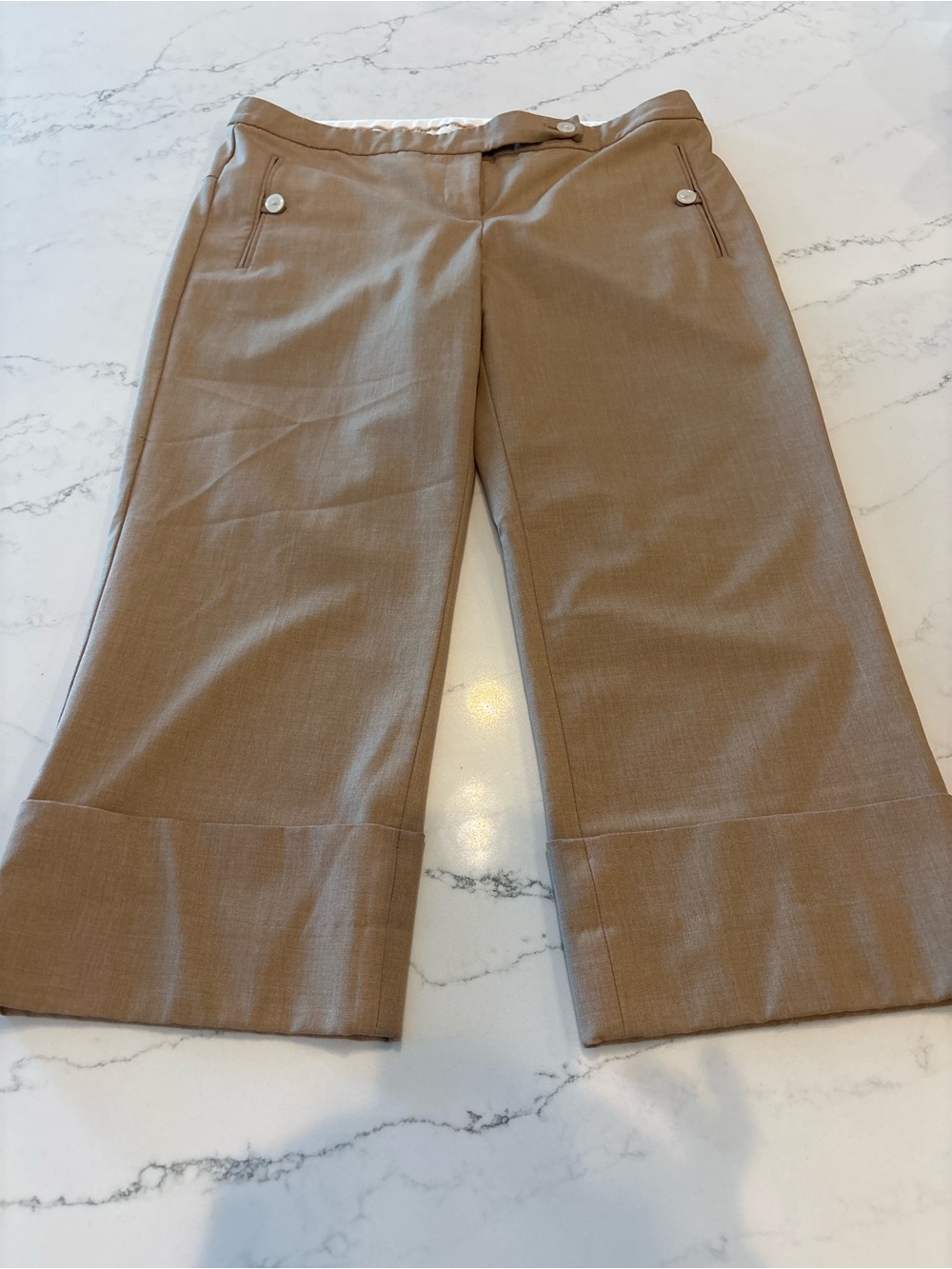 The Limited Cropped Wide-Leg Pants in Tan - Picture 2 of 6